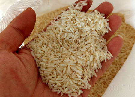 تصویر از برنج هاشمی ۵ کیلویی درجه یک حاج سینا